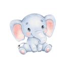 Daxiang , 巨象便宜翻墙软件